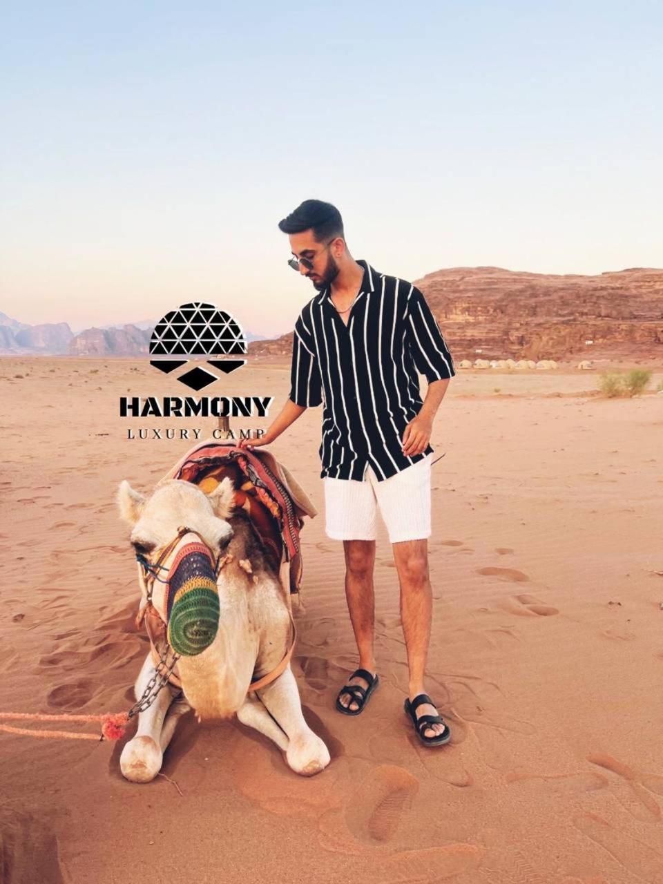 ホテル Harmony Luxury Camp ワディ ・ラム エクステリア 写真